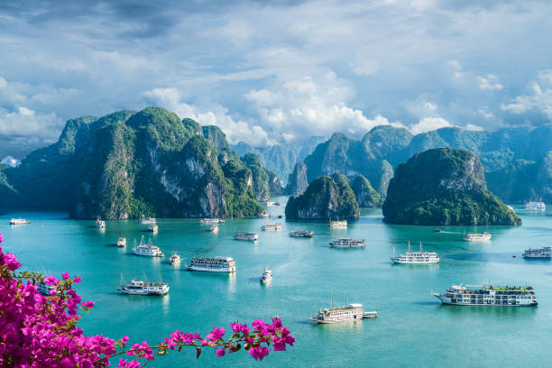 Vietnam Tour Package 2025