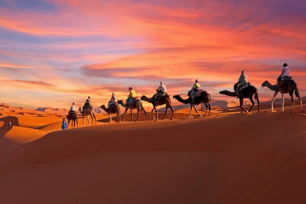 Explore the Timeless Beauty of the Sahara